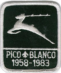 40th Anniversary patch